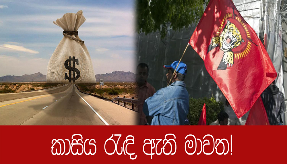 කාසිය රැඳි ඇති මාවත!
