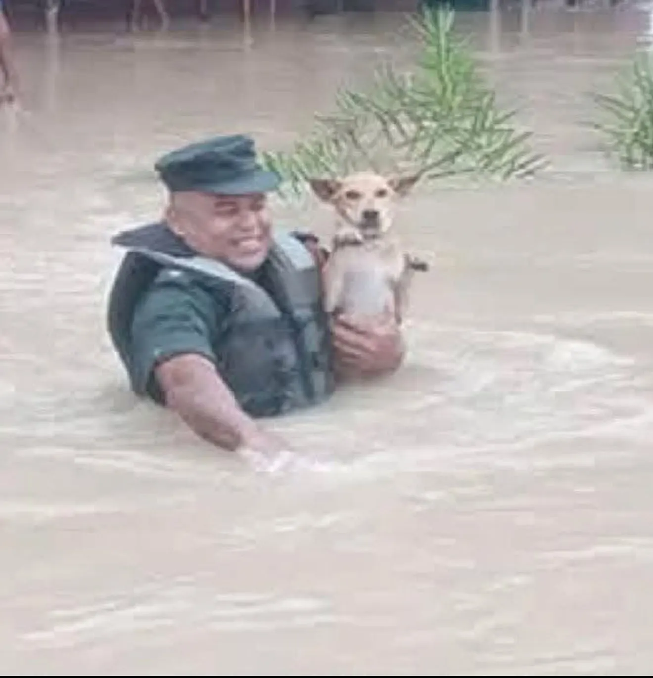 විරු හදවත නොදකින මරු හදවත!