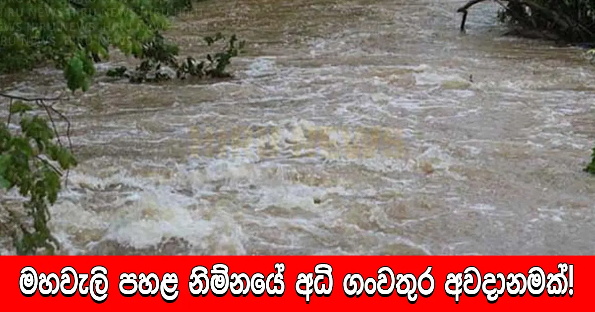 මහවැලි පහළ නිම්නයේ අධි ගංවතුර අවදානමක්