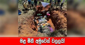 මළ මිනී අමුවෙන් වලලයි!