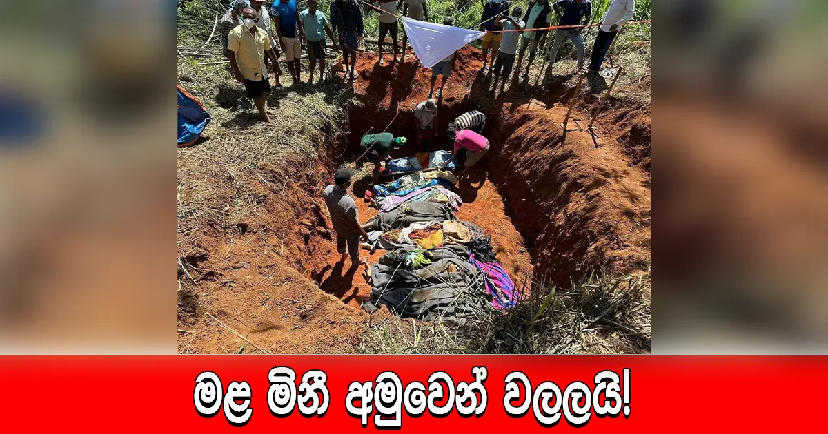 මළ මිනී අමුවෙන් වලලයි!