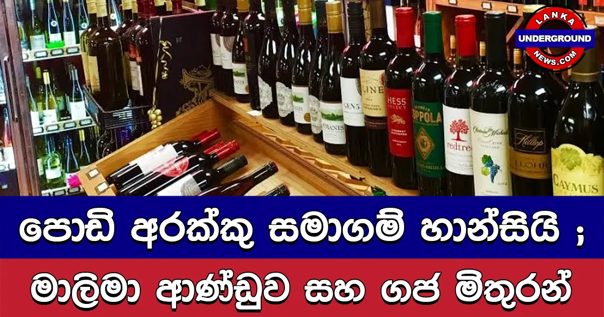 පොඩි අරක්කු සමාගම් හාන්සියි ; මාලිමා ආණ්ඩුව ගජ මිතුරන්ට වෙළඳපොළ අත්පත් කර දෙන්නේ මෙහෙමයි!