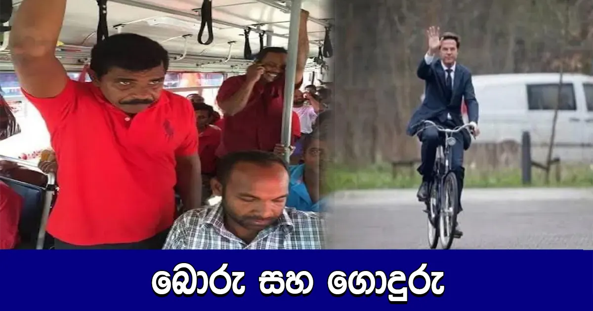 බොරු සහ ගොදුරු