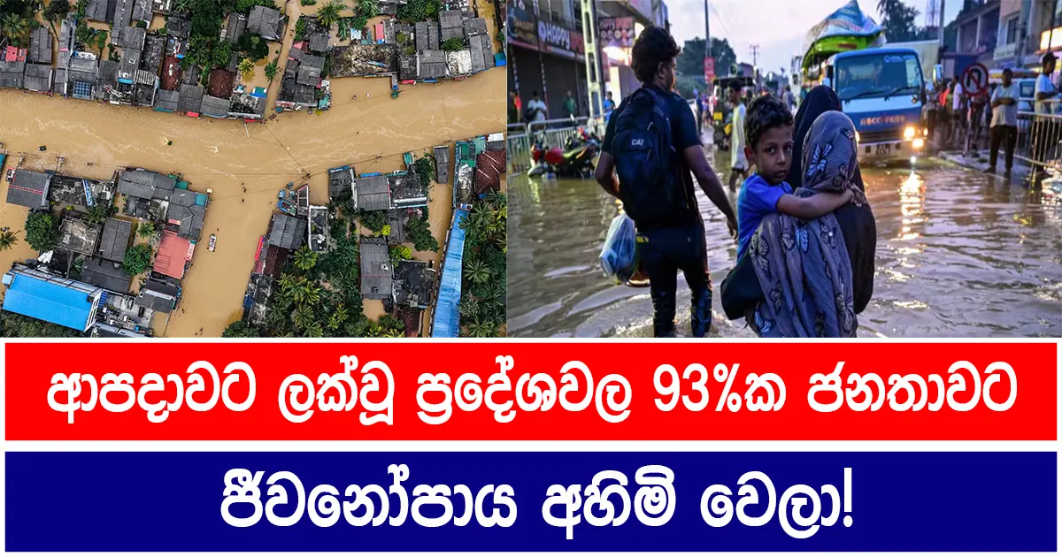 ආපදාවට ලක්වූ ප්‍රදේශවල 93%ක ජනතාවට ජීවනෝපාය අහිමි වෙලා!
