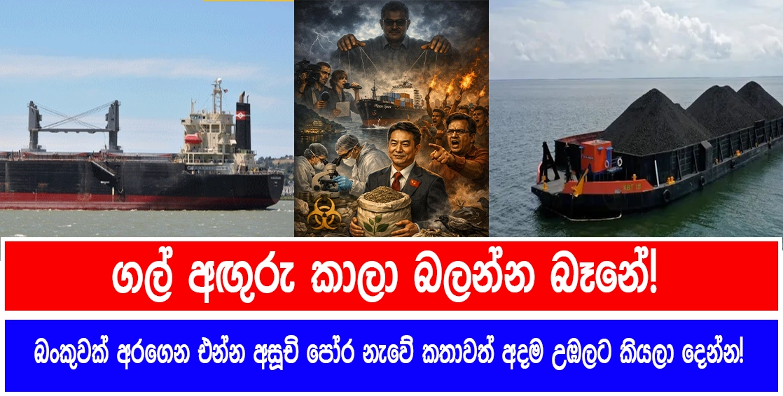 ගල් අඟුරු කාලා බලන්න බෑනේ! බංකුවක් අරගෙන එන්න අසූචි පෝර නැවේ කතාවත් අදම උඹලට කියලා දෙන්න!