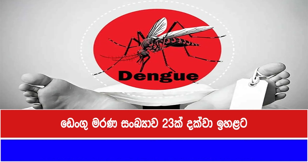 ඩෙංගු මරණ සංඛ්‍යාව 23ක් දක්වා ඉහළට