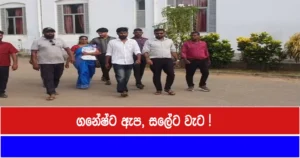 ගනේෂ්ට ඇප, සලේට වැට !