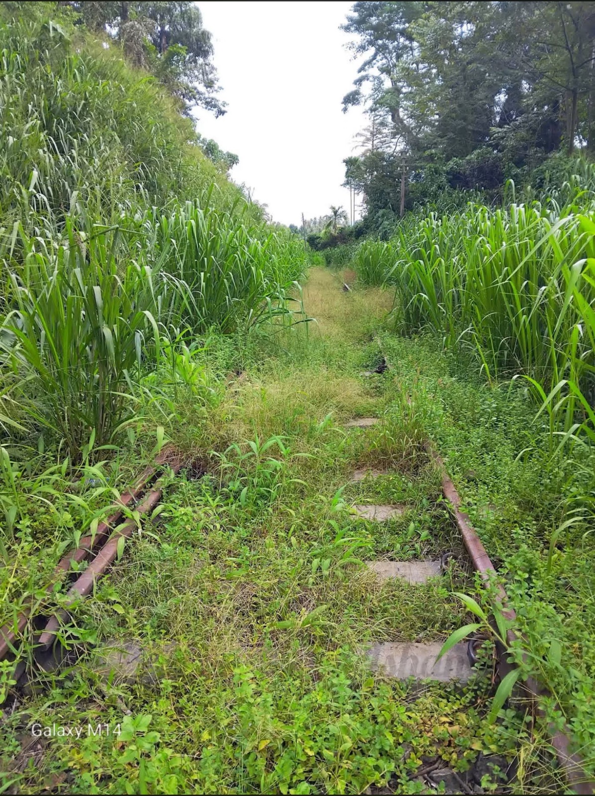 කයියනායක පාර